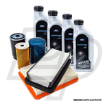 Kit tagliando auto, kit quattro filtri e 4 litri olio motore Ford Motorcraft 5W30 (PR4585/19)