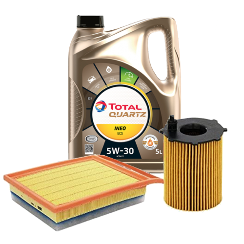 529E/207 - Olio motore per auto TOTAL QUARTZ INEO ECS 5W30 5 litri, con  Filtro olio e Filtro aria (529E/207) - Champion (Filtri e tagliandi - Kit  filtri e kit tagliando); 529E/207